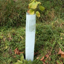 Planterør, 60 cm, 1 - 200 stk