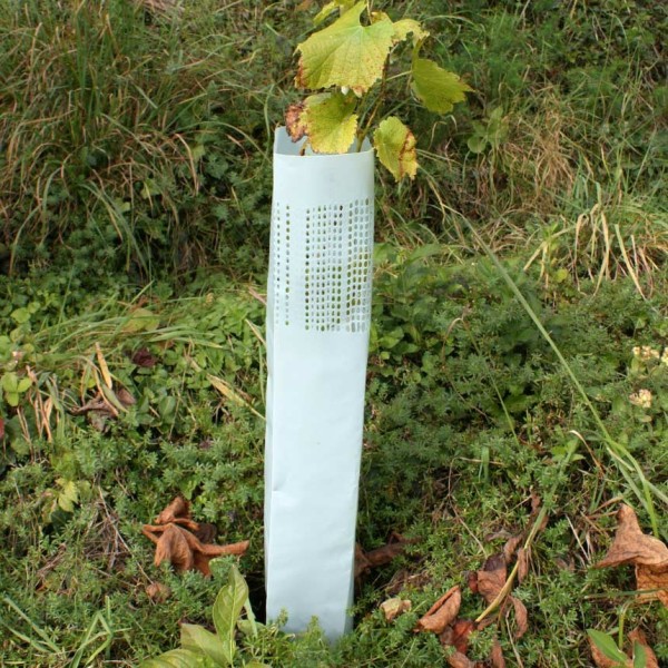 Planterør, 60 cm, 1 - 200 stk