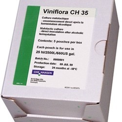 Viniflore CH35