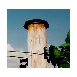 Lås til stålplantestok, m stammeholder 1 stk