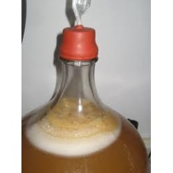 Gær til frugtvin og hyldeblomstvin