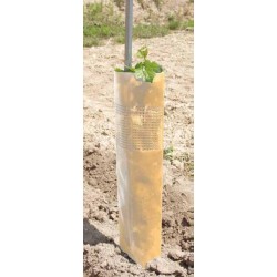 Planterør, 60 cm,  200 -  stk