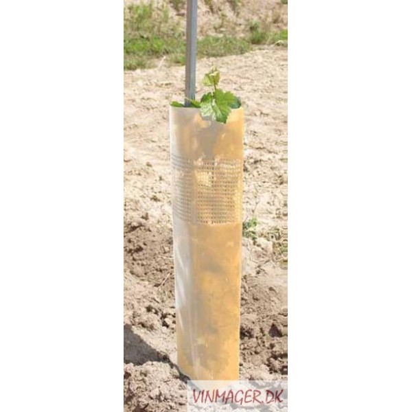 Planterør, 60 cm,  200 -  stk