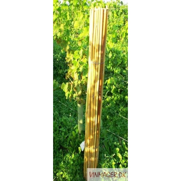 Tonkinstok til støtte for stokken